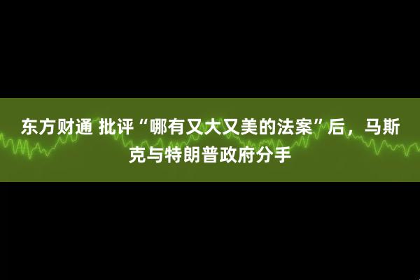 东方财通 批评“哪有又大又美的法案”后，马斯克与特朗普政府分手