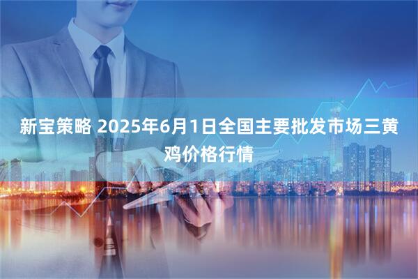 新宝策略 2025年6月1日全国主要批发市场三黄鸡价格行情