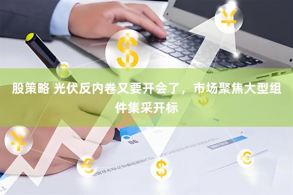 股策略 光伏反内卷又要开会了，市场聚焦大型组件集采开标