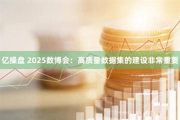 亿操盘 2025数博会：高质量数据集的建设非常重要