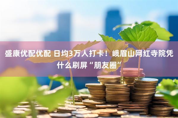 盛康优配优配 日均3万人打卡！峨眉山网红寺院凭什么刷屏“朋友圈”