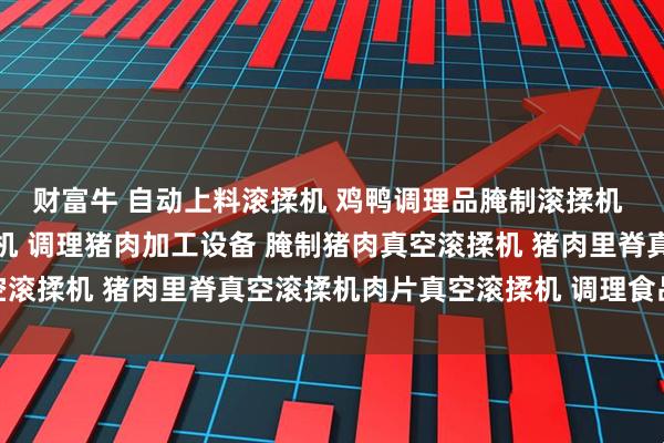 财富牛 自动上料滚揉机 鸡鸭调理品腌制滚揉机 全自动酱牛肉真空滚揉机 调理猪肉加工设备 腌制猪肉真空滚揉机 猪肉里脊真空滚揉机肉片真空滚揉机 调理食品滚揉机